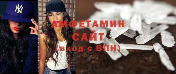 гашик Алексеевка