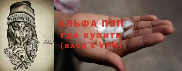 гашик Алексеевка