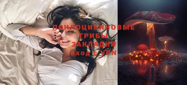 гашик Алексеевка