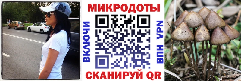 Галлюциногенные грибы GOLDEN TEACHER  blacksprut ССЫЛКА  Йошкар-Ола  наркошоп 
